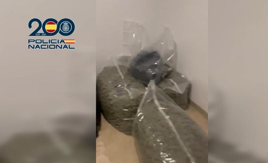 Marihuana incautados en uno de los domicilios registrados en la operación Prima contra venta de droga en Granada