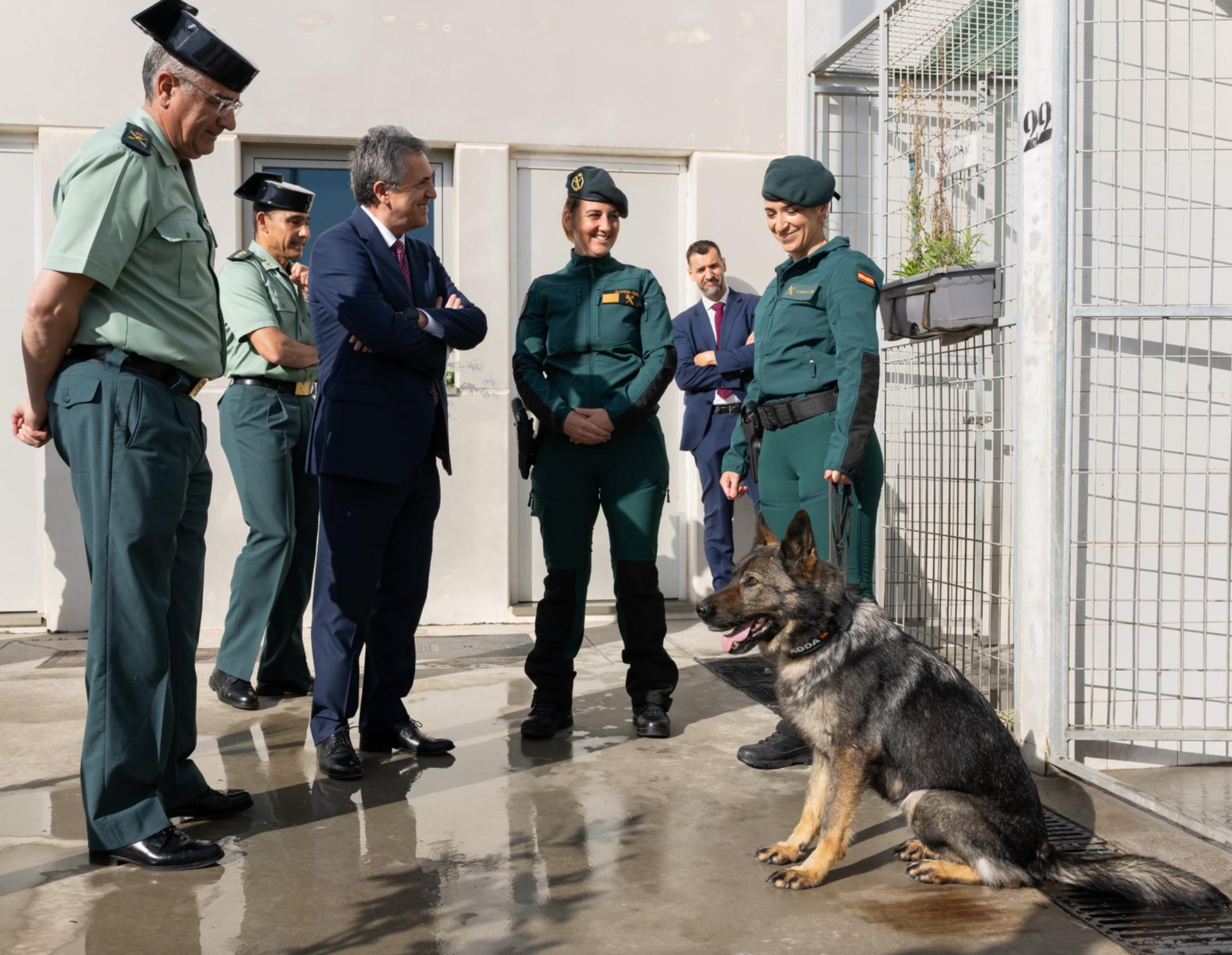 El director general se reúne con los mandos de la Guardia Civil en Andalucía encargados del Plan Especial del Campo de Gibraltar