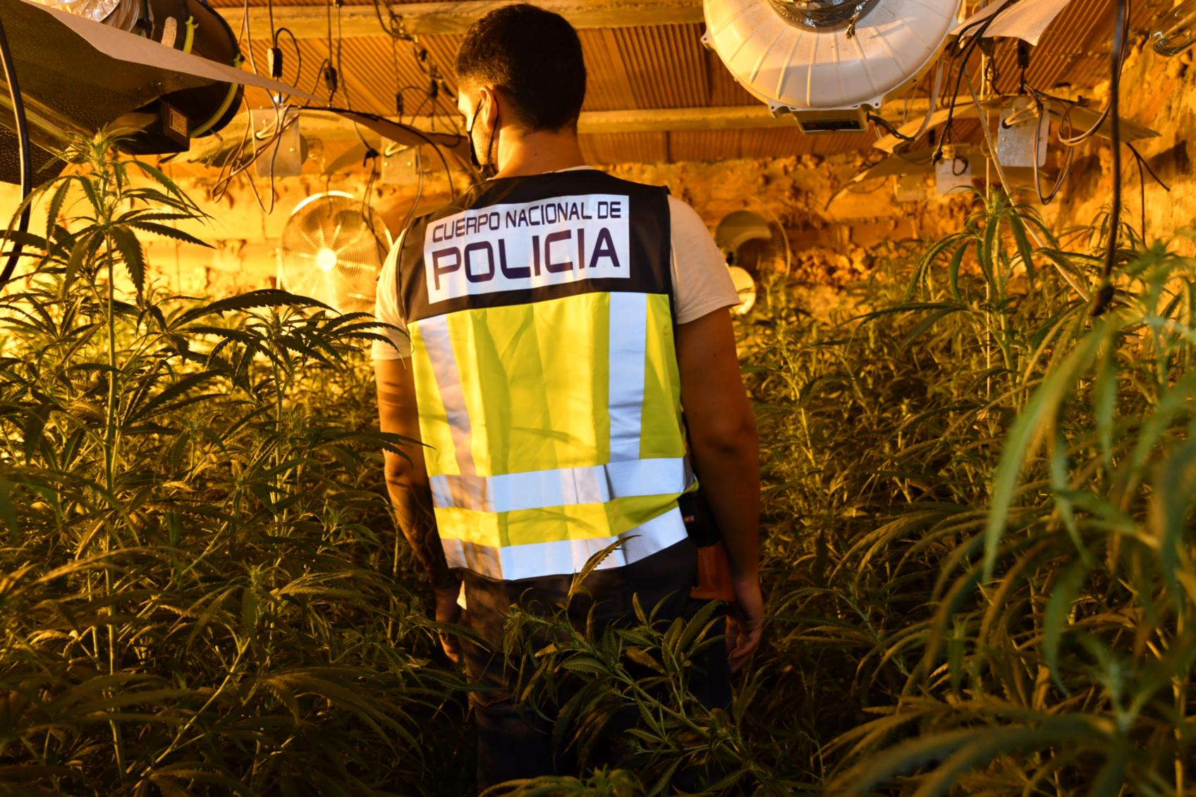 FOTO:IMAGEN DE ARCHIVO. POLICÍA NACIONAL EN UN INVERNADERO DE DROGAS