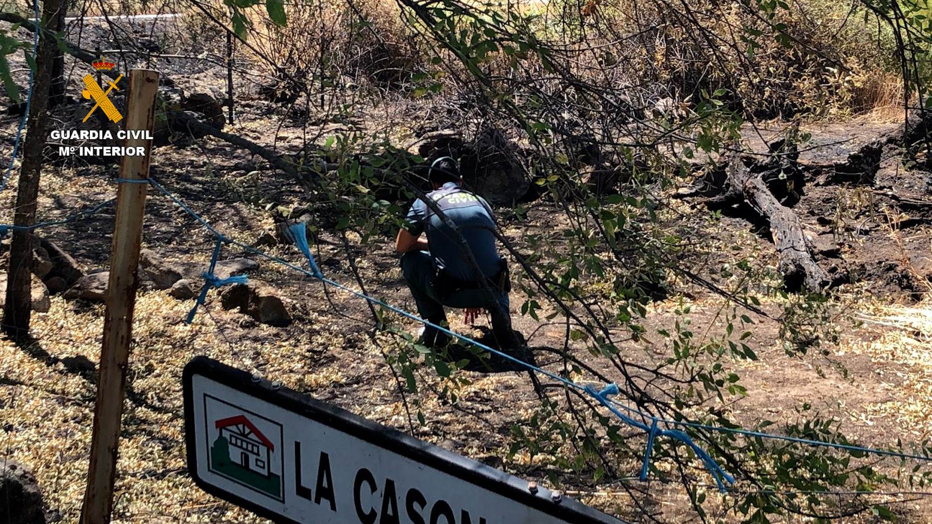 La Guardia Civil detiene a un hombre como supuesto autor de 4 delitos de incendio forestal en Jaraíz de la Vera (Cáceres)