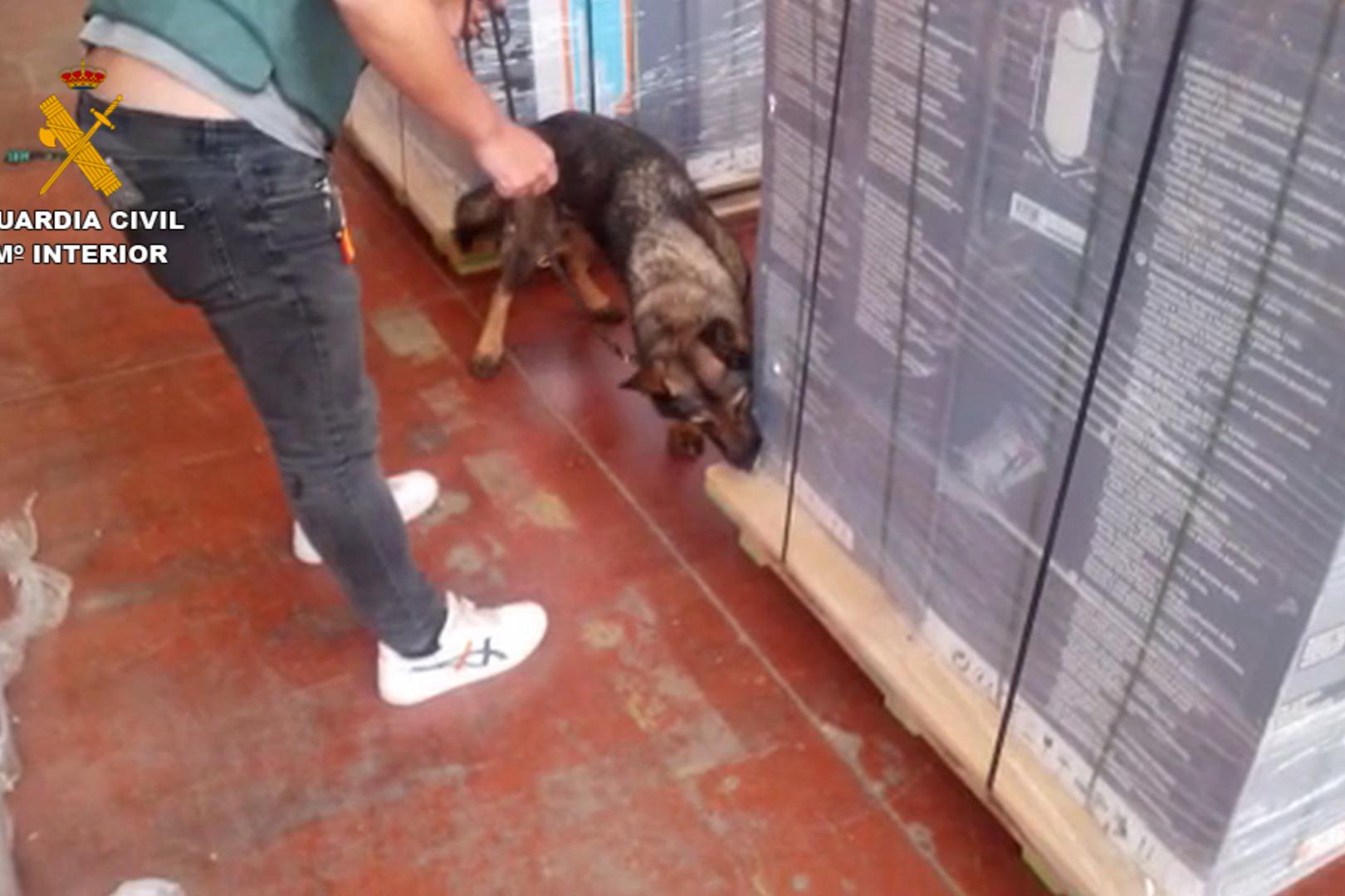 Un perro de la unidad canina de la Guardia Civil olfatea un contenedor en busca de droga