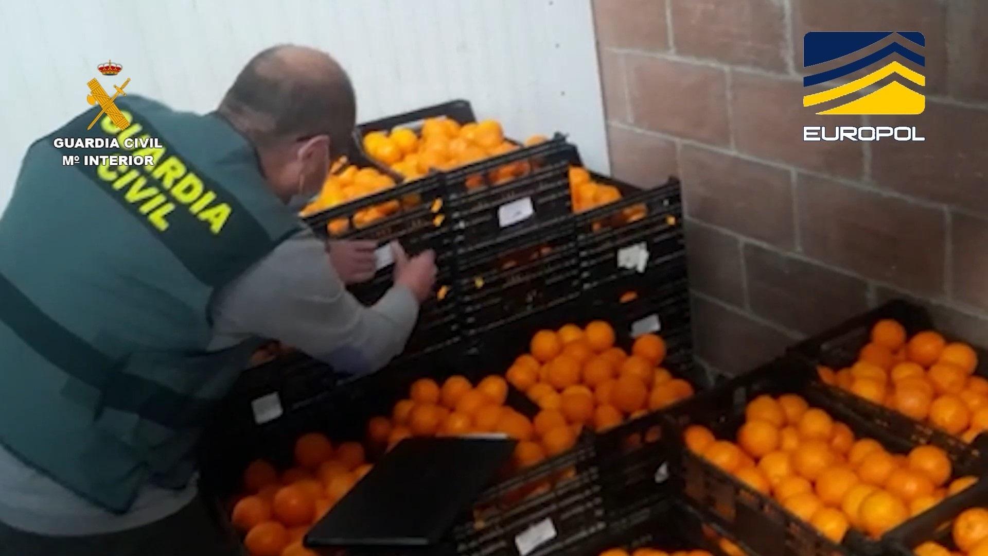 Agente de la guardia civil revisando cajas de naranjas