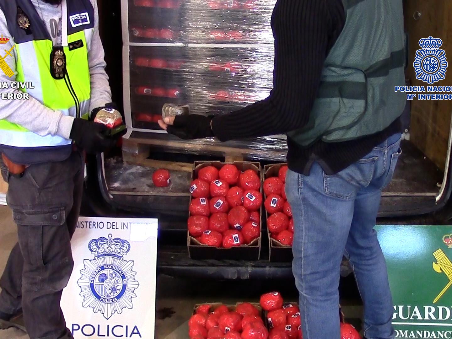 Agentes de la guardia civil y policía nacional inspeccionan unos pales con tomates donde habían ocultado la droga