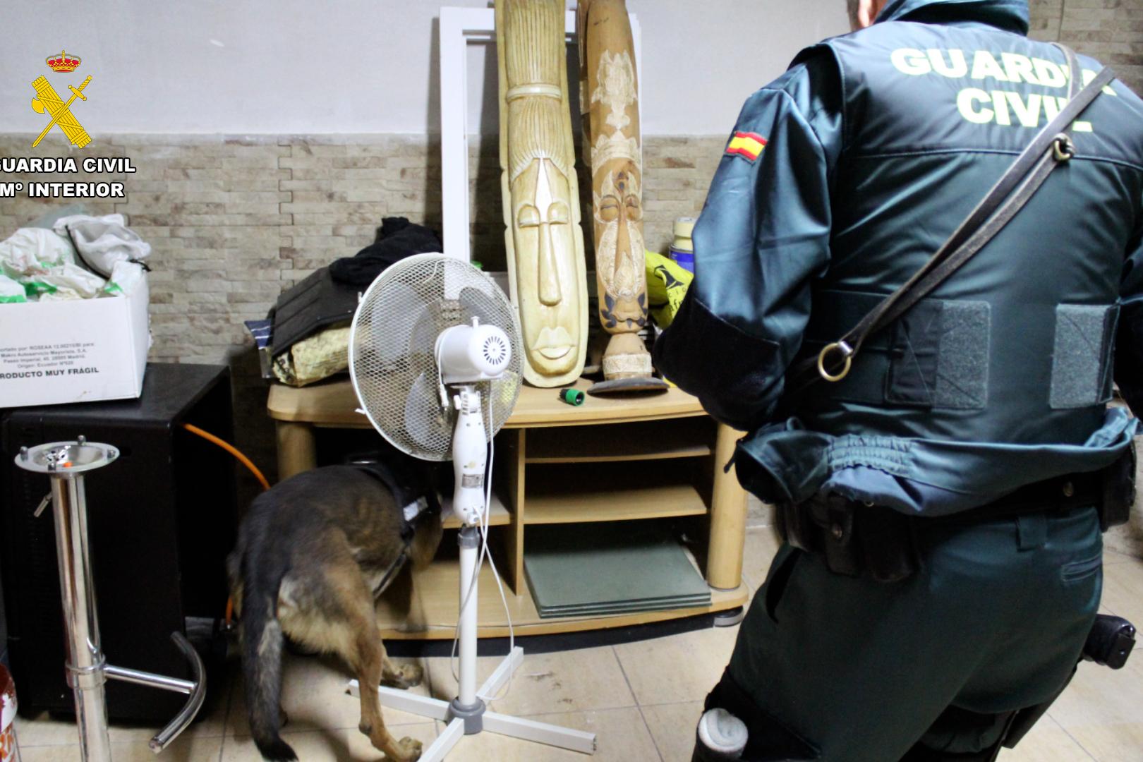 Agentes de la unidad canina inspeccionan el local