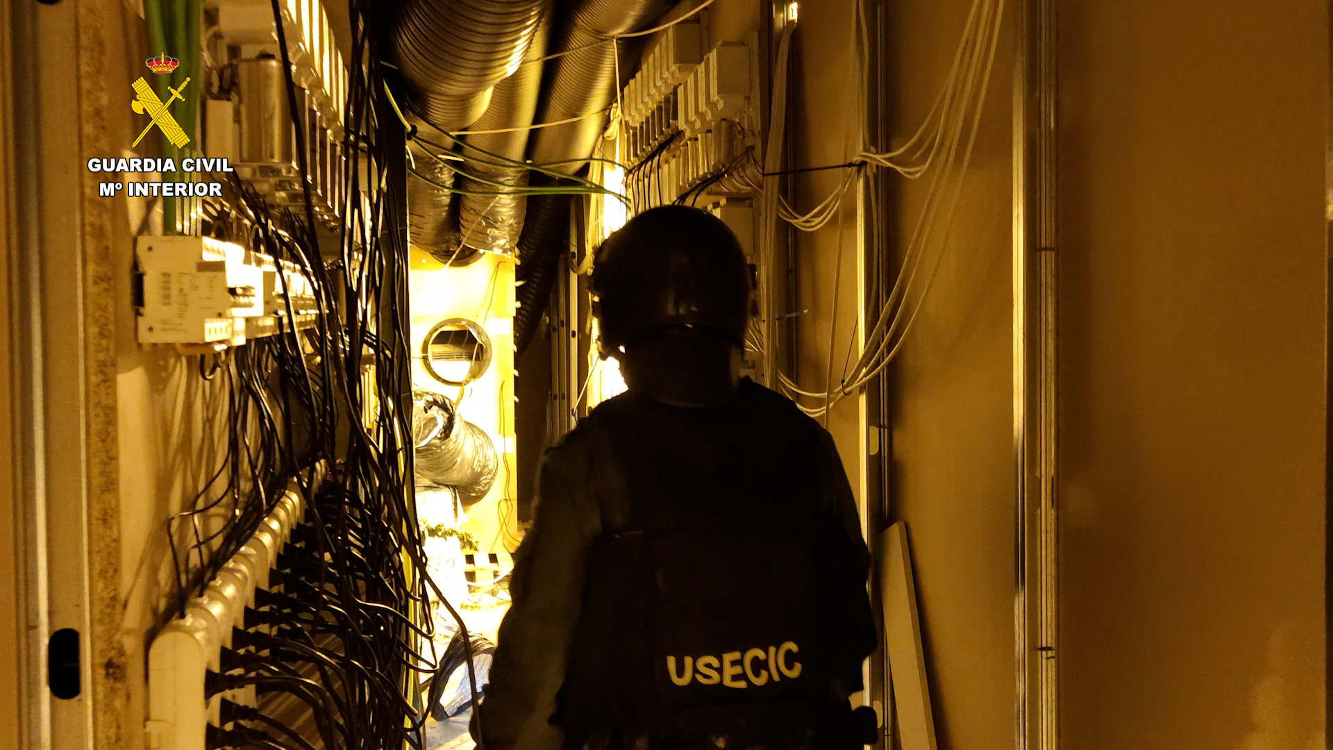 Detenidos en el interior de un túnel subterráneo para enganchar a la red eléctrica un cultivo de marihuana