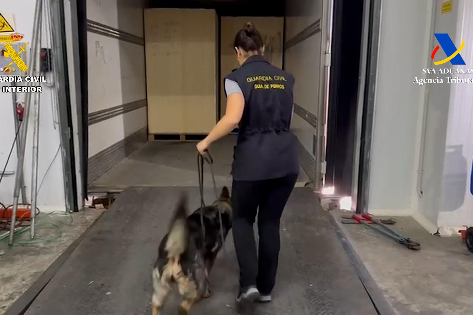 Agente de la Guardia civil con un perro para la detección de droga