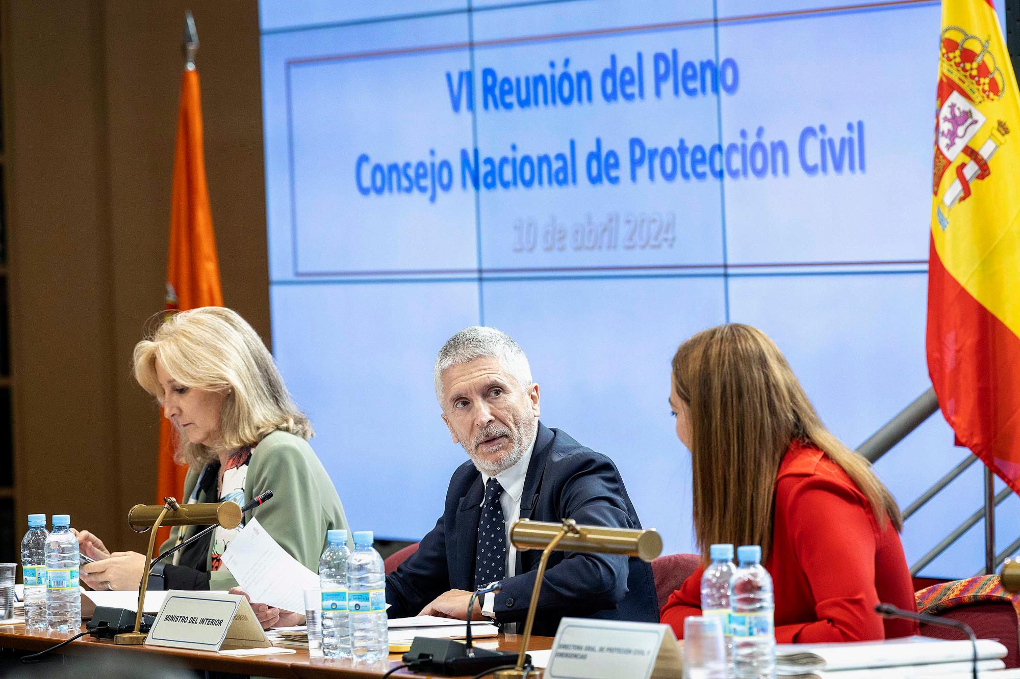 Imagen del ministro del Interior Fernando Grande-Marlaska en el  Consejo Nacional de Protección Civil